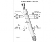 Гидроцилиндр ЦГ-100.60х700.11