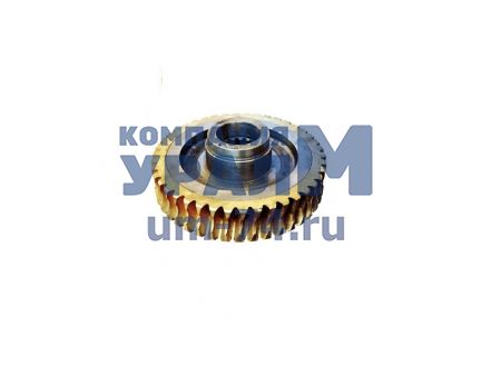 Колесо червячное ДЗ-98.29.00.010-1 - Фото 1