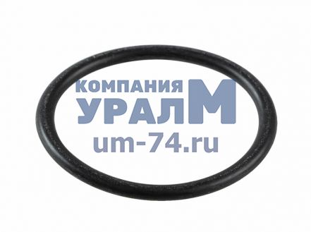 Уплотнение	50-59-113СП - Фото 1