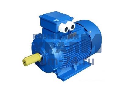 Асинхронный электродвигатель АИР250М2 - Фото 1