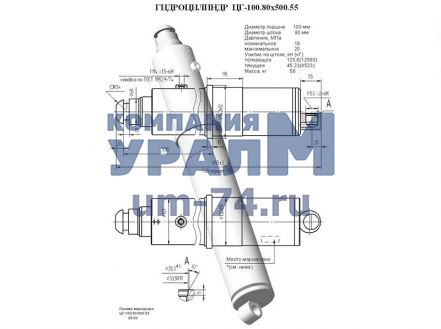 Гидроцилиндр опоры вывешивания крана ГЦ-100.80х500.55 (Ц22А) - Фото 4